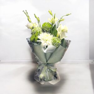 Photoroom_20251027_102518 PM